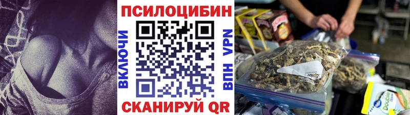 сколько стоит  Полярные Зори  hydra онион  Галлюциногенные грибы Magic Shrooms 